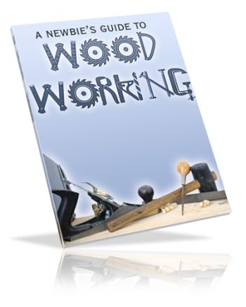 A Newbie’s Guide To Woodworking (PLR) A Newbie’s Guide To Woodworking (PLR)