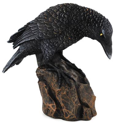 Raven down 5 1/2" Raven down 5 1/2"