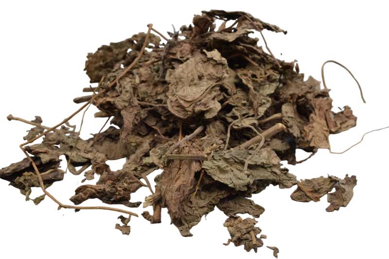 1 Lb Patchouli Leaf whole 1 Lb Patchouli Leaf whole