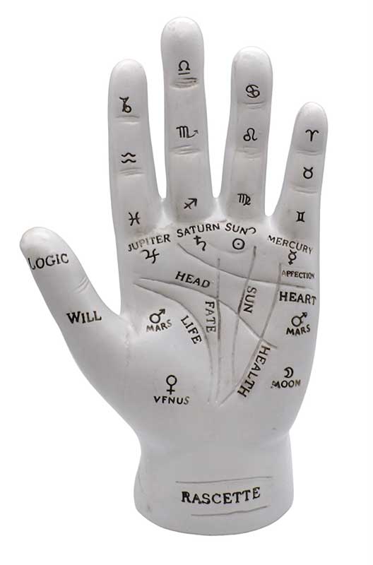 7" Palmistry Hand 7" Palmistry Hand